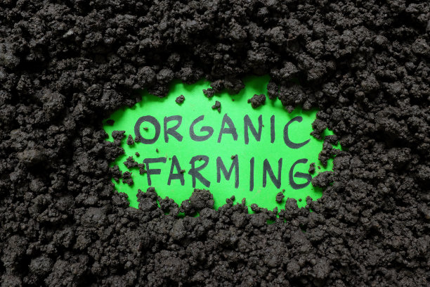 有机农业的概念。书写文字的土壤背景。图片下载