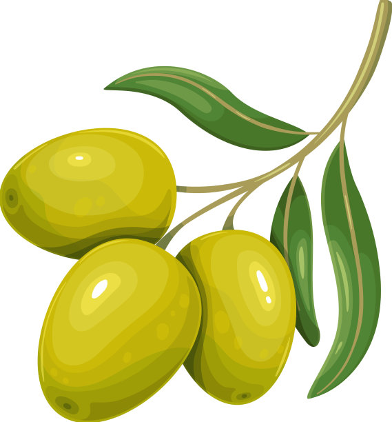 绿叶橄榄图片下载