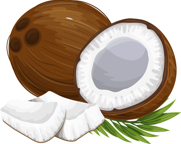 半个椰子和几片椰子图片下载
