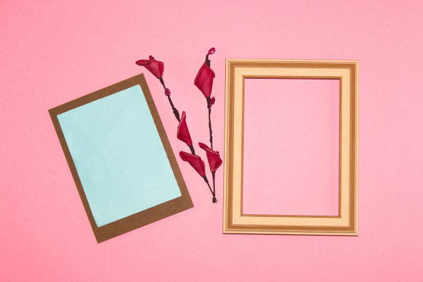 木框配粉色复制空间和木板配蓝色复制空间之间的花朵，粉色背景创意艺术现代设计图片下载