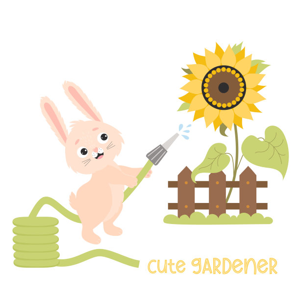 可爱的兔子园丁。兔子在木篱笆后面用软管给黄色向日葵浇水。矢量插图。有趣的兔子角色为孩子收集，卡片，封面，设计，农场装饰和版画图片下载
