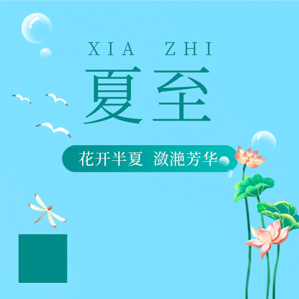 夏至清新荷花插画风方形手机海报图片下载