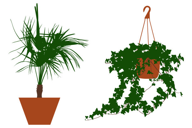 花盆中不同花朵的插图图片下载