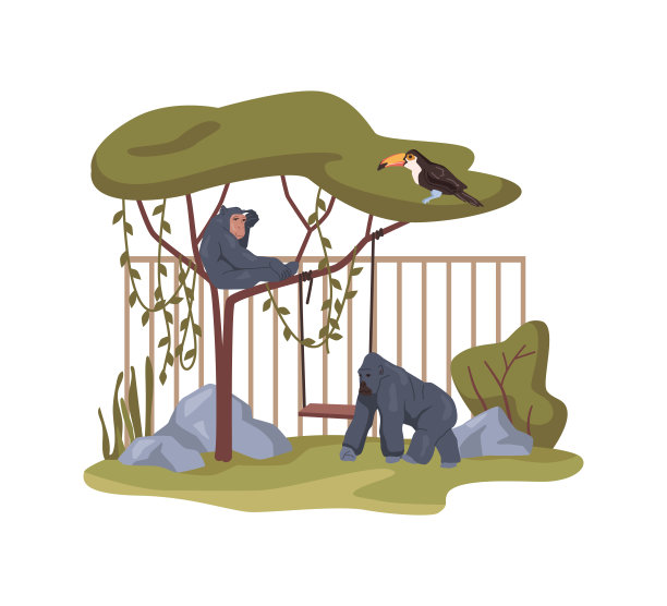 非洲野生动植物动物园中的大猩猩和猴子。自然保护区与猿类的自然栖息地在动物园。平面卡通，矢量插图图片下载