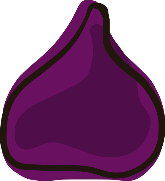 手绘无花果隔离图片下载