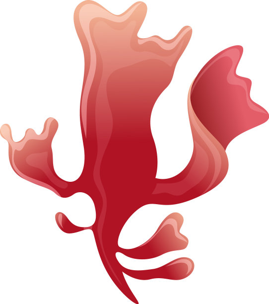 红礁植物水下植物群海珊瑚图片下载