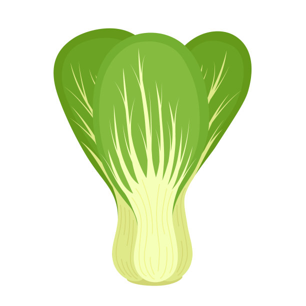 小白菜或小白菜健康图片下载