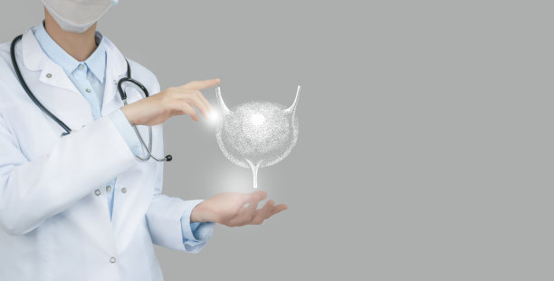 难以辨认的医生手里拿着突出的手工制作的膀胱。医学插图模板科学模型图片下载