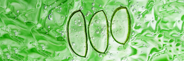 芦荟片纹理与凝胶在蓝色的背景。图片下载