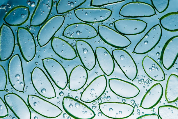 芦荟片纹理与凝胶在蓝色的背景。图片下载