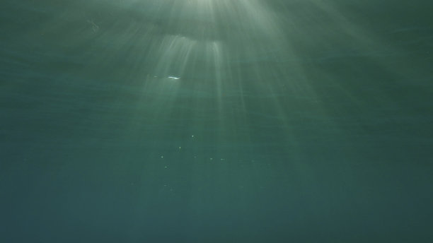 阳光穿透水面，形成美丽的光晕。日落时分，阳光洒在水面下。红海，埃及图片下载