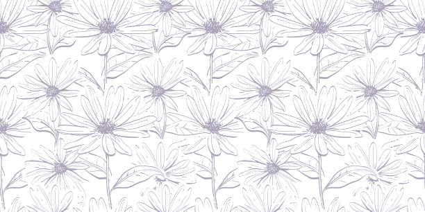 粉彩花卉无缝图案雏菊重复图片下载