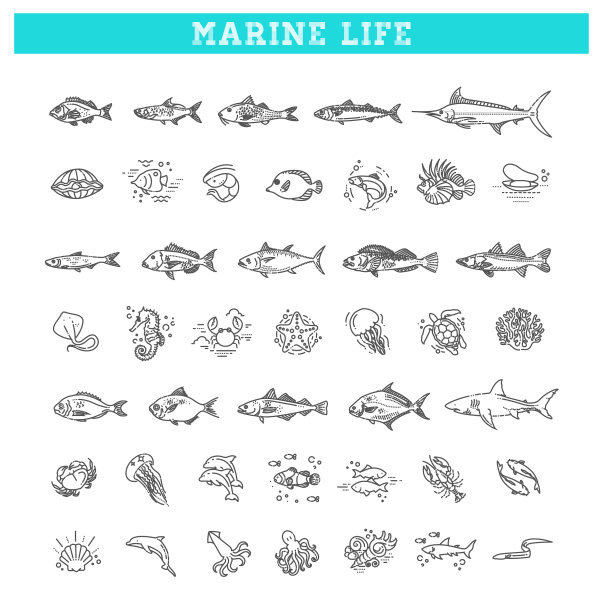 海洋生物图标设置轮廓图标图片下载