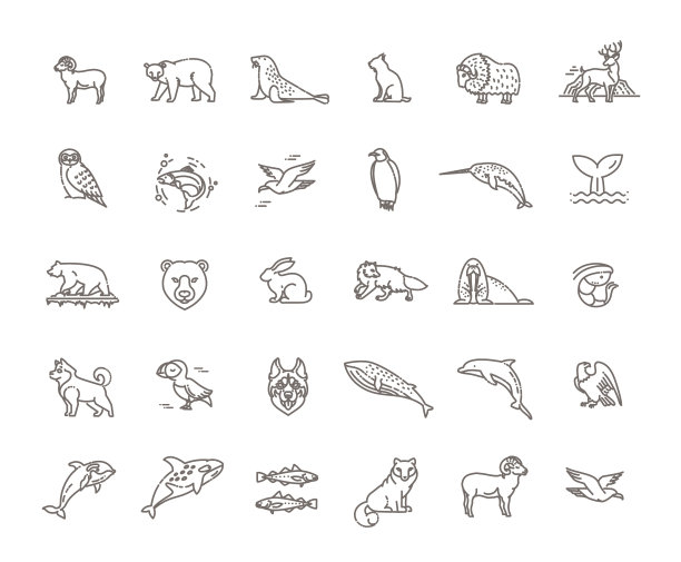 一组线性北极动物图片下载