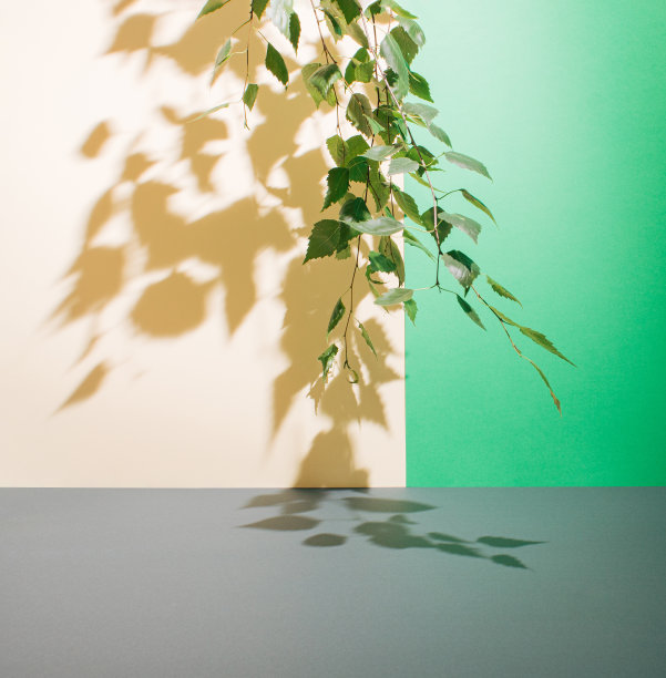 时髦的地中海式内墙。家居装饰。自然环境的概念。简约的设计。图片下载