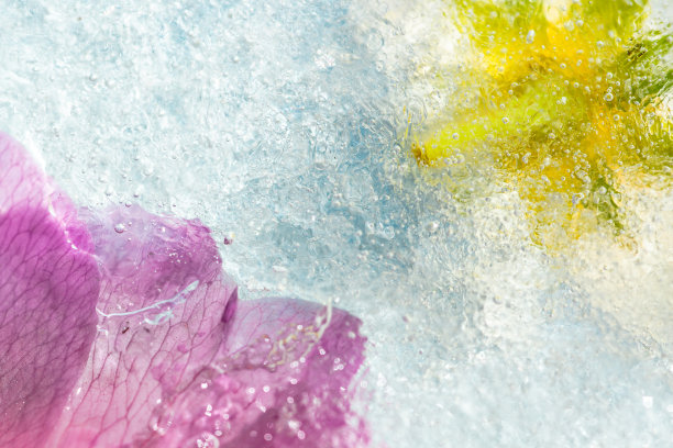 冰冻的五彩花的抽象背景图片下载