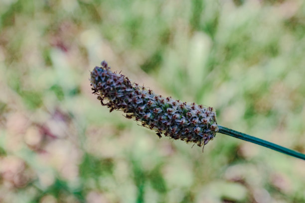 靠工厂图片下载