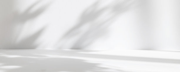 摘要白色工作室背景用于产品展示。空无一人的房间里有窗户、花朵和棕榈叶的影子。带有拷贝空间的3d房间。夏季音乐会。模糊的背景。横幅图片下载