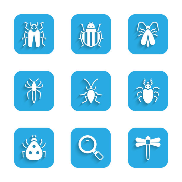 设置蟑螂放大镜蜻蜓甲虫图片下载