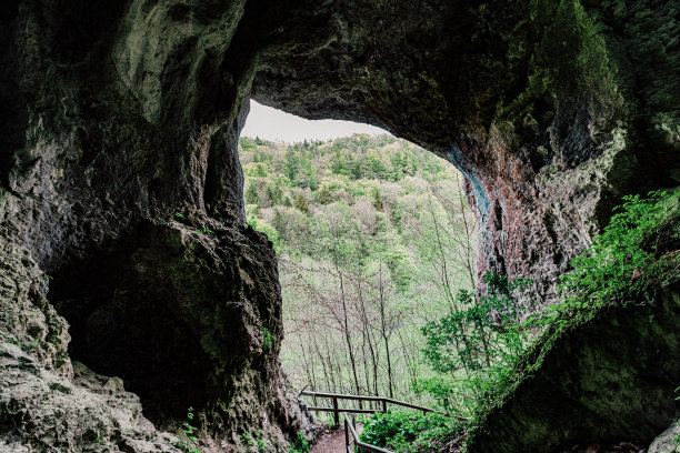 山上的吊桥图片下载