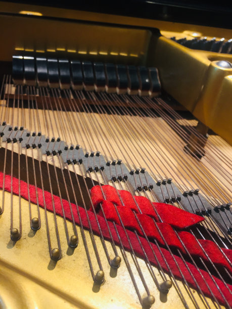 大钢琴弦。图片下载