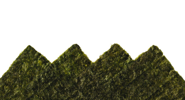 海苔，日本干海藻，锯齿状成分图片下载