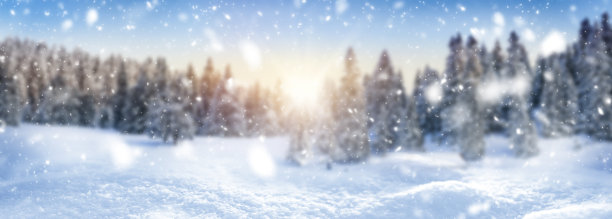 冬季景观背景和雪，霜冻宽全景与您的文字自由空间图片下载