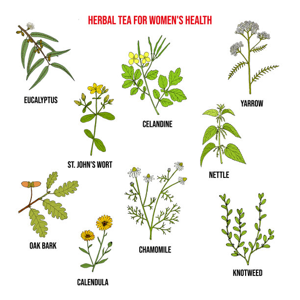 花草茶促进妇女健康图片下载