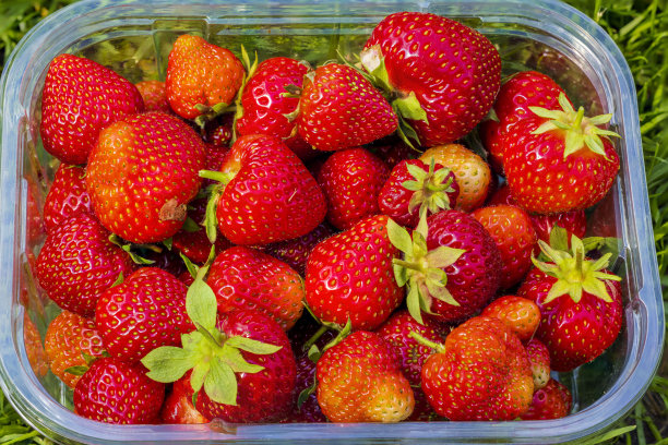 塑料盒子与红色草莓的特写。图片下载