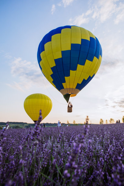 带着篮子的气球在薰衣草田上空图片下载
