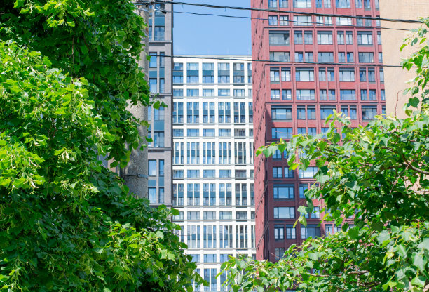 五彩缤纷的高楼大厦和绿树图片下载