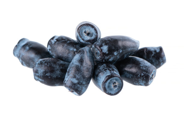 金银花孤立在白色背景。成熟的金银花浆果。剪切路径。图片下载