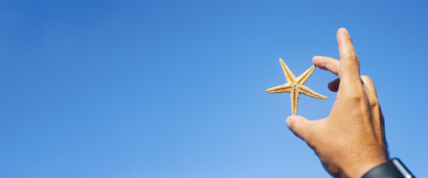 男性手捧海星，背景是蓝天。横幅。图片下载