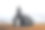 Búðir冰岛Snæfellsnes半岛的木门教堂(也叫Budir)图片下载