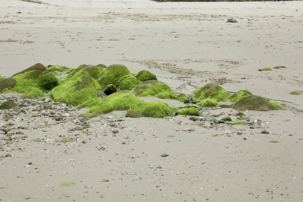 海底的海石图片下载