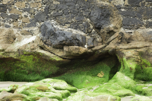 海底的海石图片下载