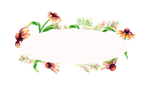 框架与草甸粉红色的花，野花花束水彩插图孤立。图片下载