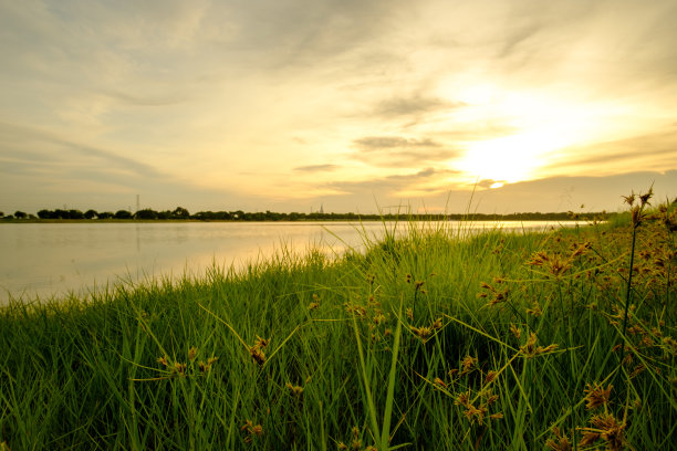 我的假期图片下载