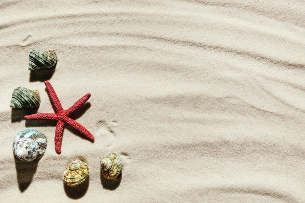 light beach sand的背景与文字空间。图片下载