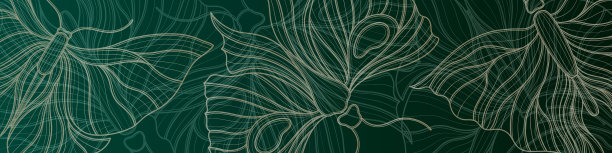 新艺术风格的蝴蝶背景。1920-1930年复古设计。象征图案设计。图片下载