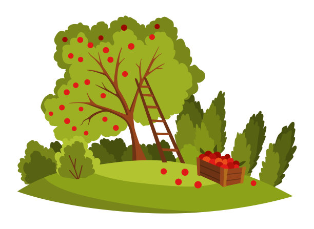 农场的风景。农业田野，田园自然风光。苹果树和丰收的乡村全景图片下载