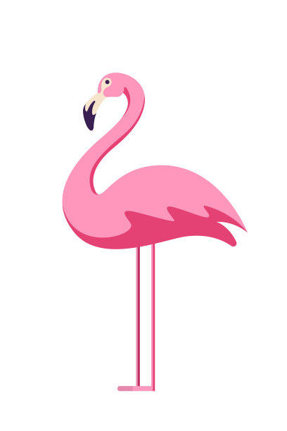 火烈鸟。矢量插图eps10图片下载