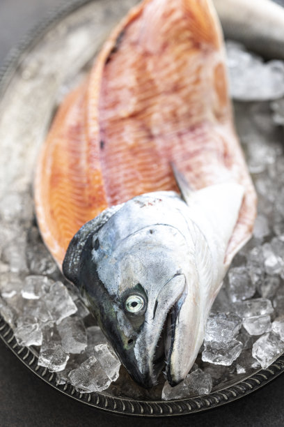 新鲜三文鱼加碎冰图片下载