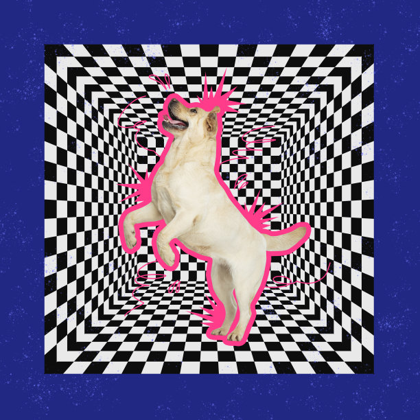 当代艺术拼贴。小狗蹦蹦跳跳，玩着孤立的黑白错觉设计背景。想象、灵感、超现实主义的概念图片下载