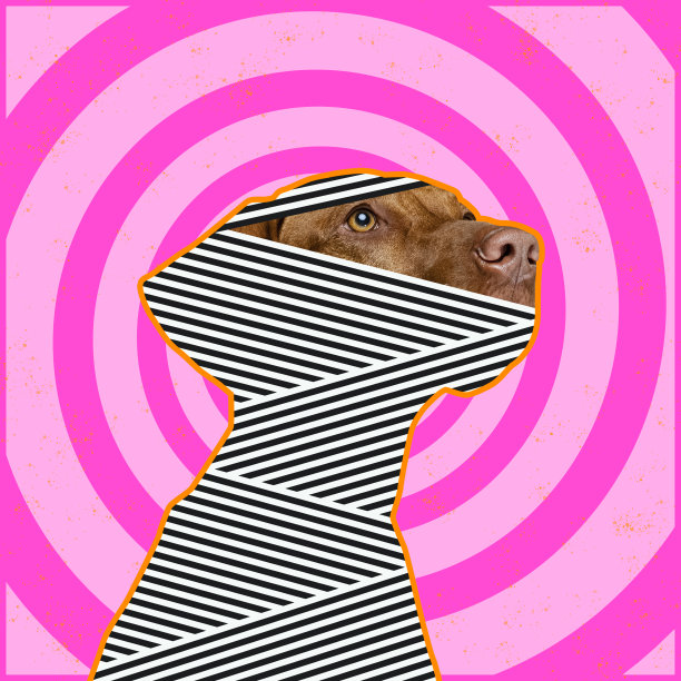 当代艺术拼贴与狗剪影像僵尸孤立在光学错觉图案背景。创意、艺术、想象力、动物概念图片下载