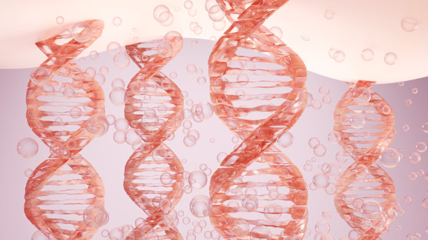 弹性蛋白和皮肤细胞图片下载