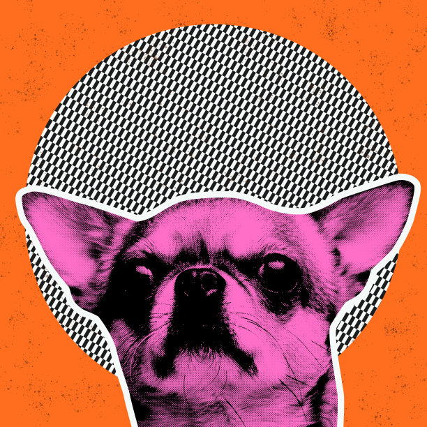 狗的肖像在超现实的背景与光学错觉元素。当代艺术拼贴。艺术、创意、想象力图片下载