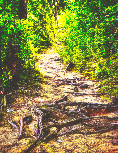 人生路上的障碍图片下载