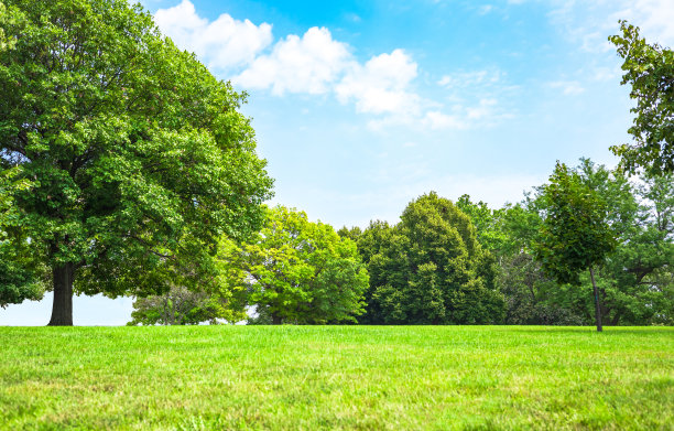 绿化景观，休闲、户外公共公园。图片下载