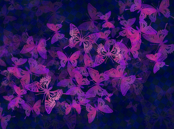 蝴蝶。黑暗的图片壁纸。图片下载